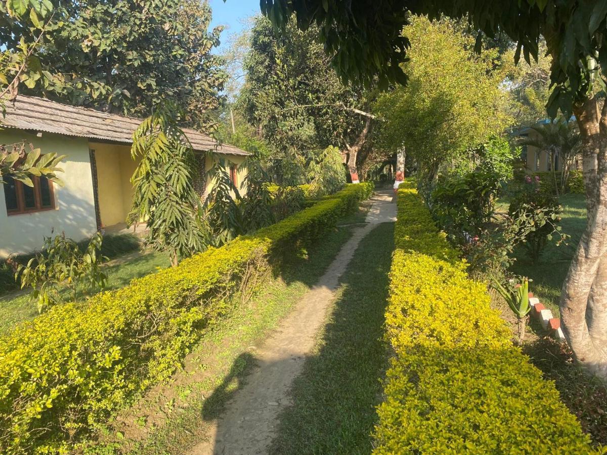 Golden River Of Wild Side Hotel Bardiya Exterior photo